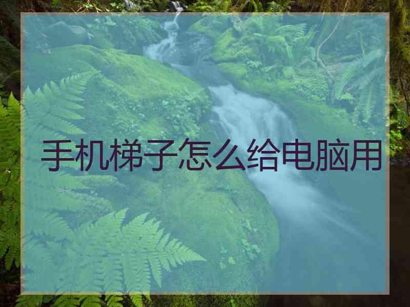 手机梯子怎么给电脑用
