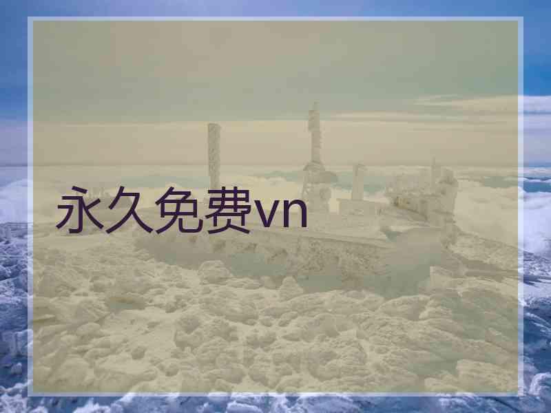 永久免费vn