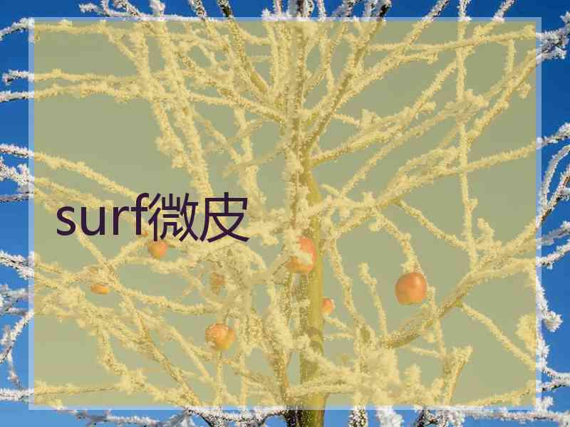 surf微皮