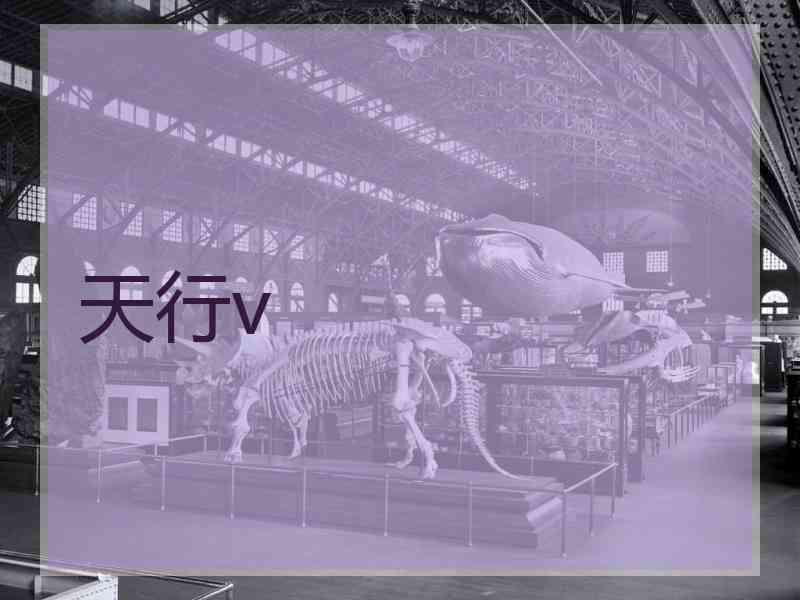 天行v