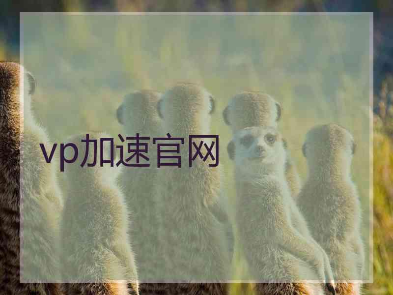 vp加速官网