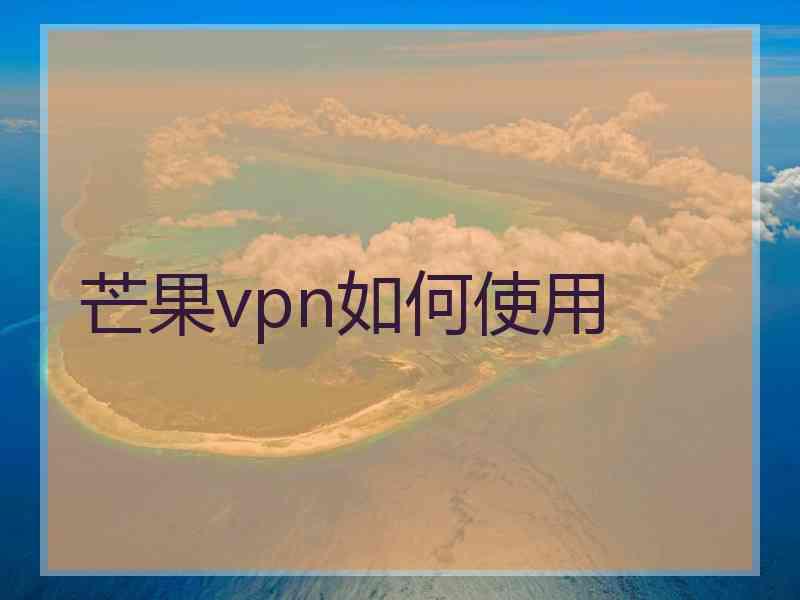 芒果vpn如何使用