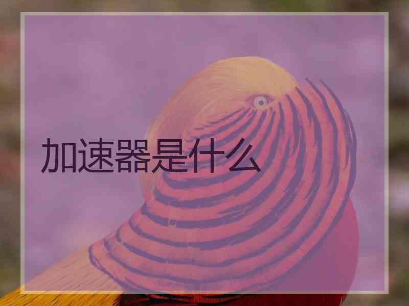 加速器是什么