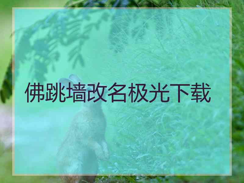 佛跳墙改名极光下载