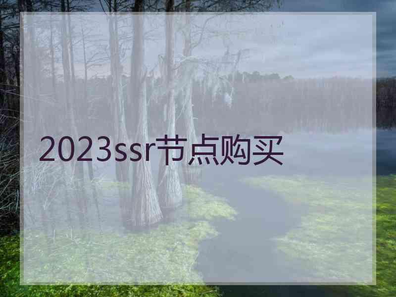 2023ssr节点购买