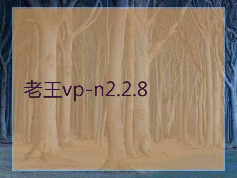 老王vp-n2.2.8