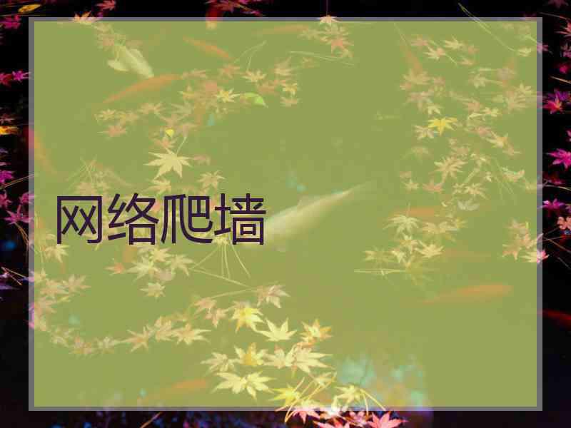 网络爬墙