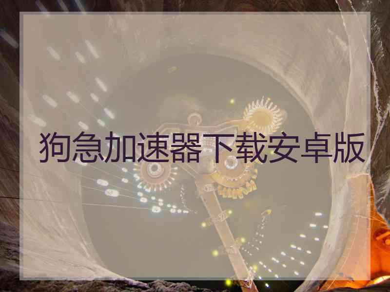 狗急加速器下载安卓版