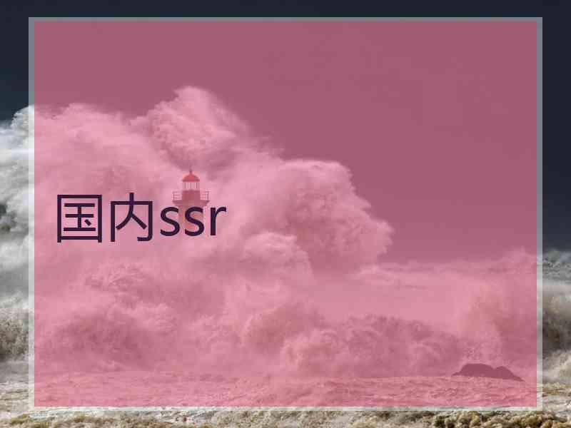 国内ssr