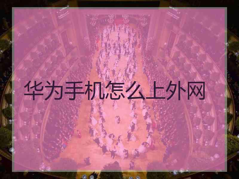 华为手机怎么上外网