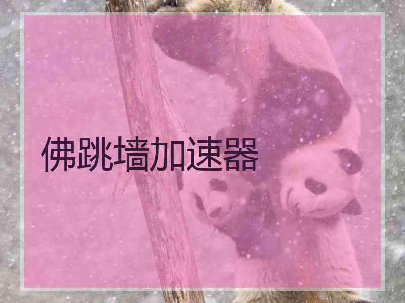 佛跳墙加速器