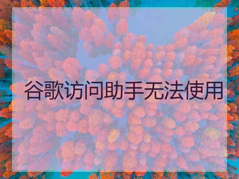 谷歌访问助手无法使用