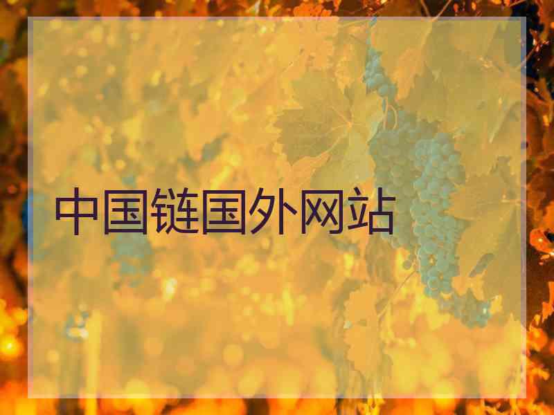 中国链国外网站