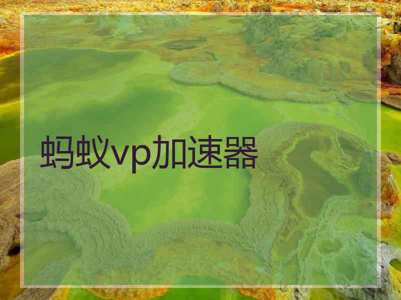 蚂蚁vp加速器