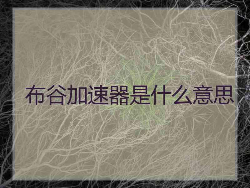 布谷加速器是什么意思