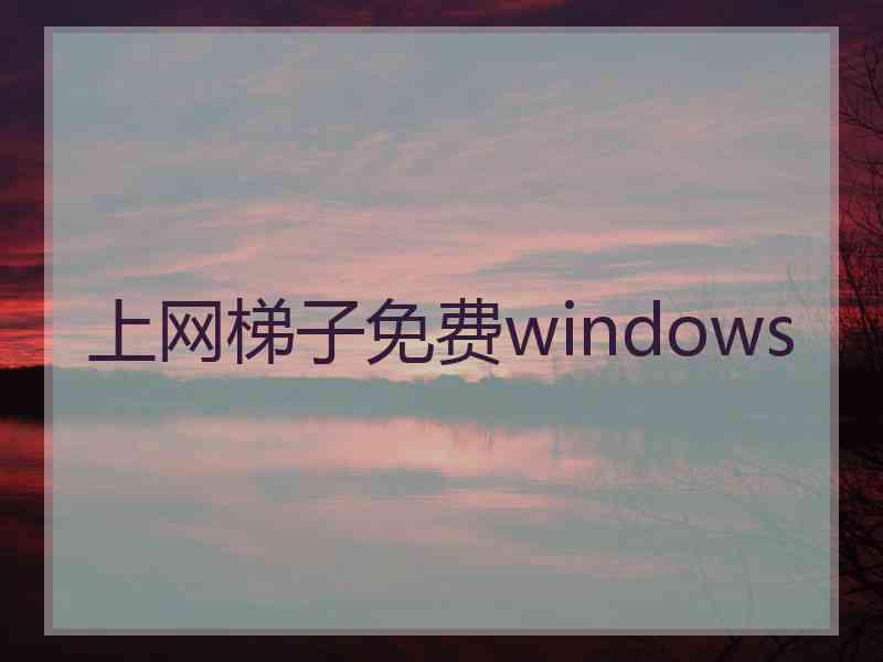 上网梯子免费windows