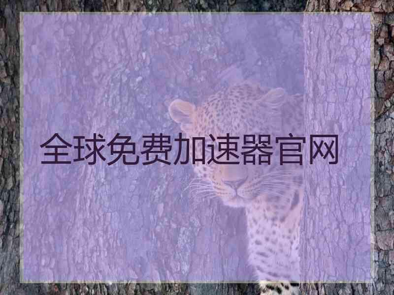 全球免费加速器官网