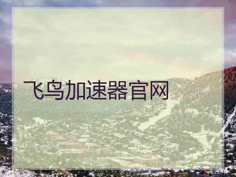飞鸟加速器官网