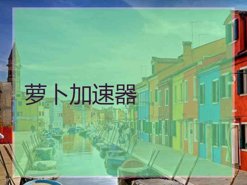 萝卜加速器