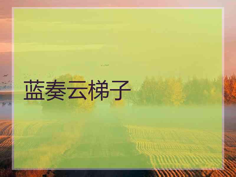 蓝奏云梯子