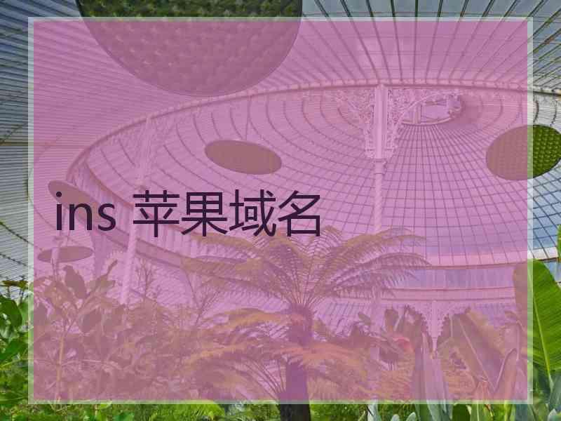 ins 苹果域名