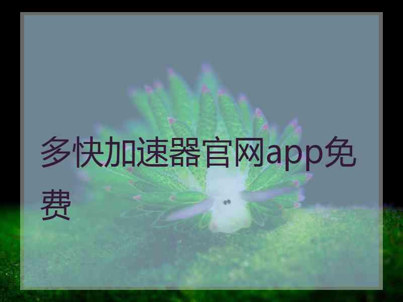 多快加速器官网app免费