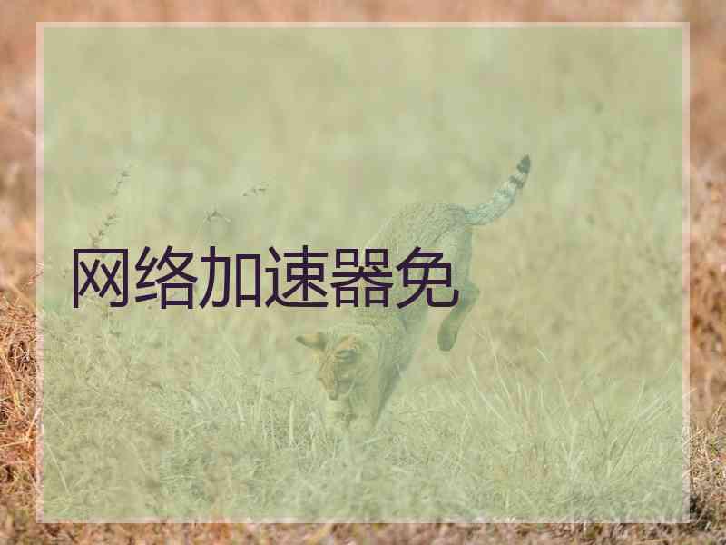 网络加速器免