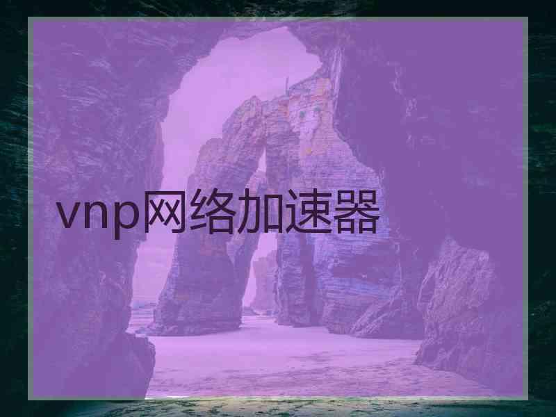 vnp网络加速器