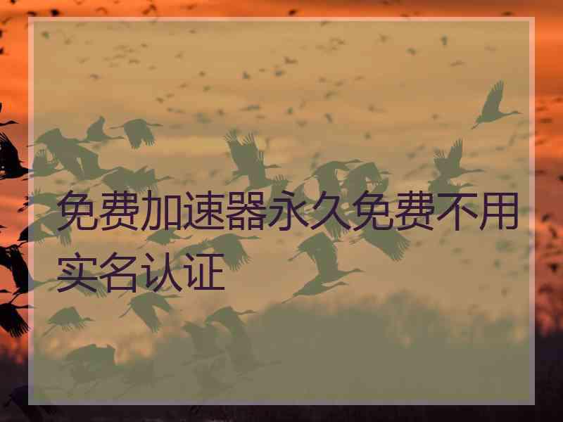 免费加速器永久免费不用实名认证