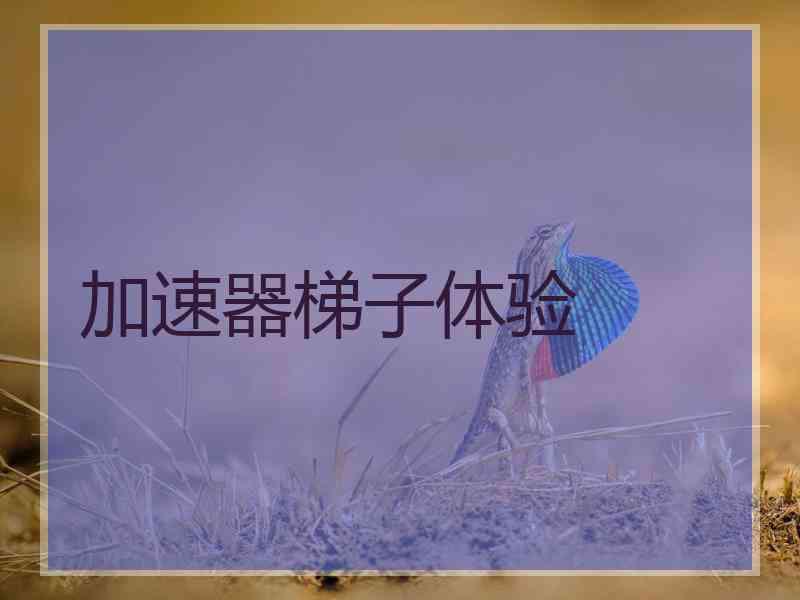 加速器梯子体验