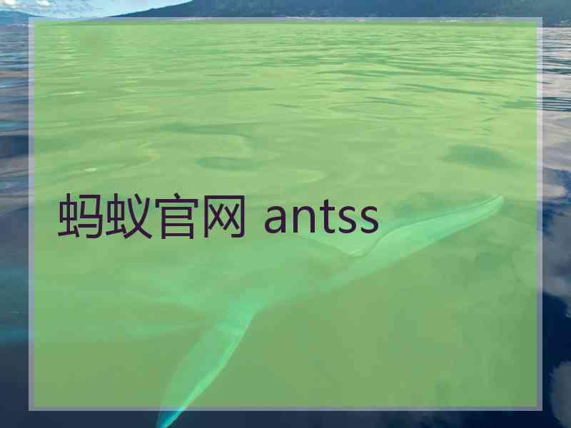 蚂蚁官网 antss