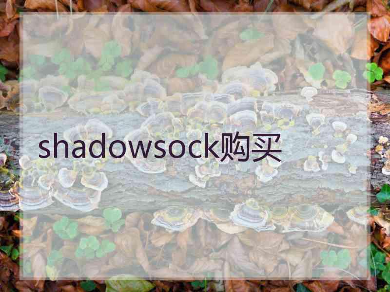 shadowsock购买