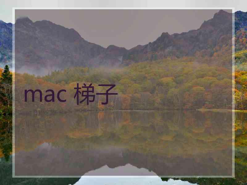 mac 梯子