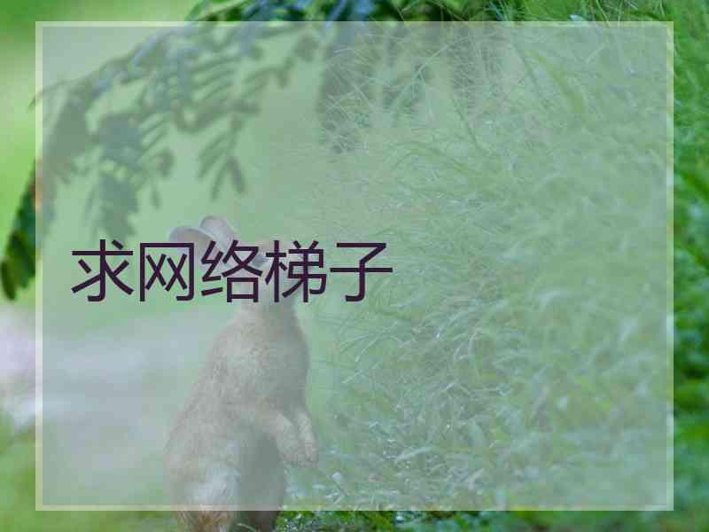 求网络梯子