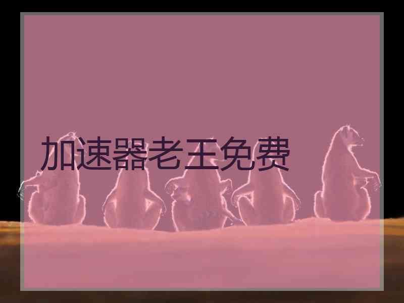 加速器老王免费