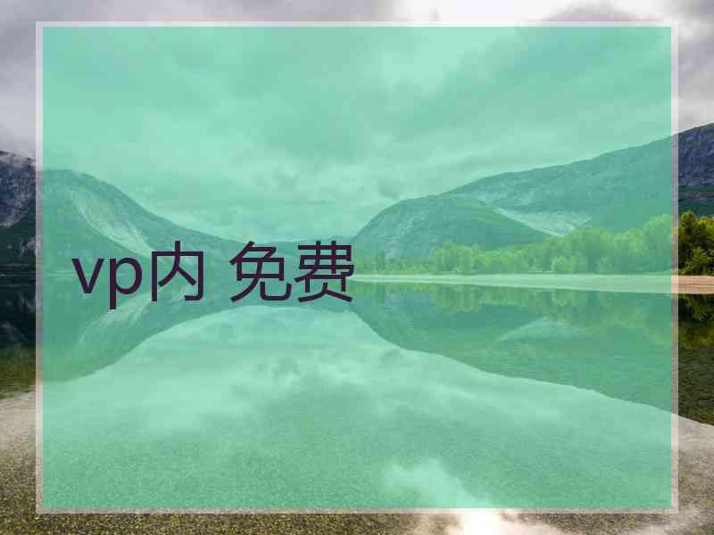 vp内 免费