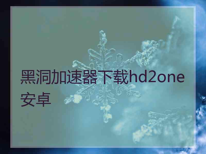 黑洞加速器下载hd2one安卓