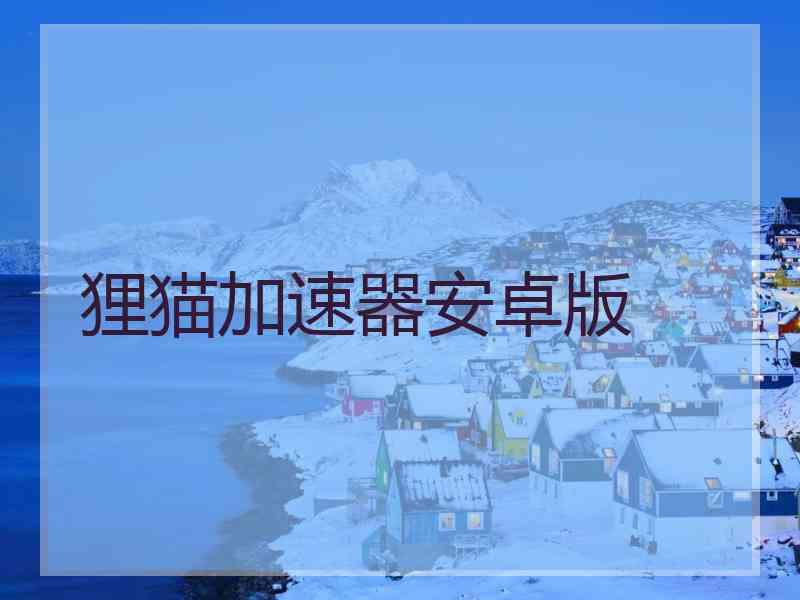狸猫加速器安卓版