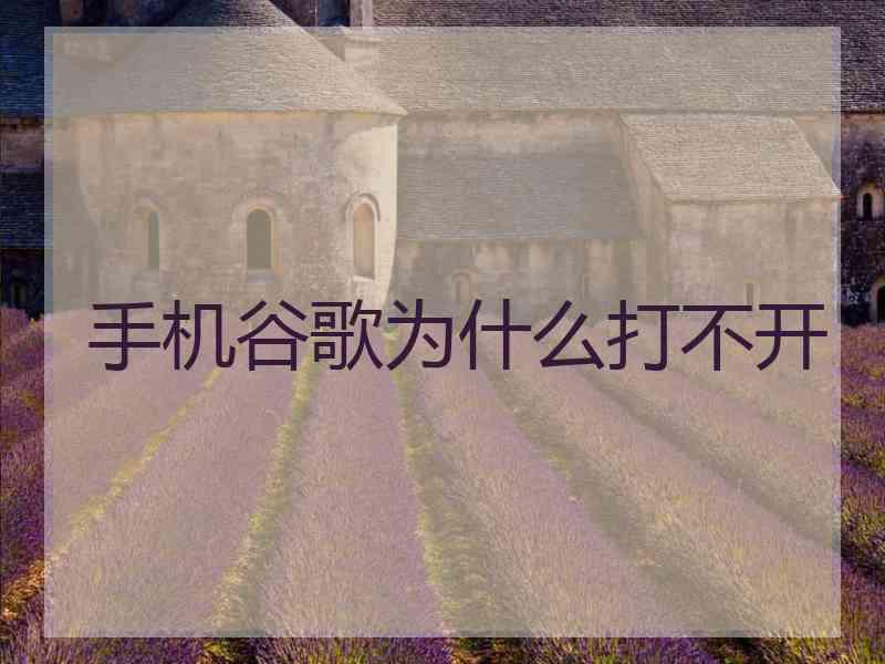 手机谷歌为什么打不开