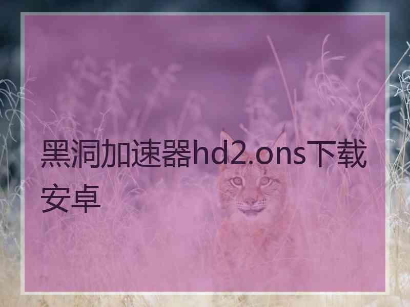 黑洞加速器hd2.ons下载安卓