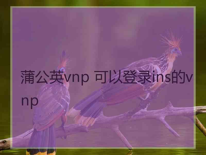 蒲公英vnp 可以登录ins的vnp