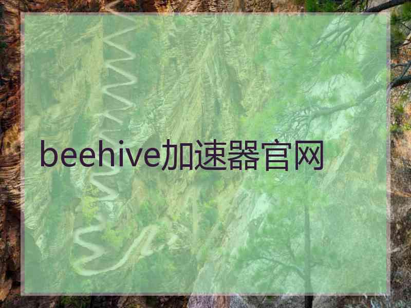 beehive加速器官网
