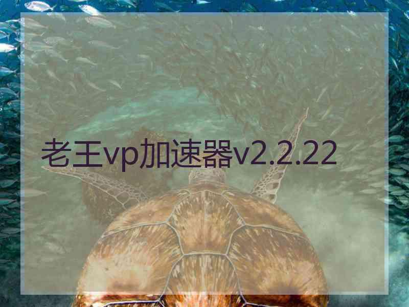 老王vp加速器v2.2.22