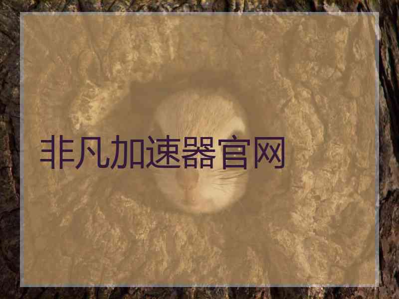 非凡加速器官网