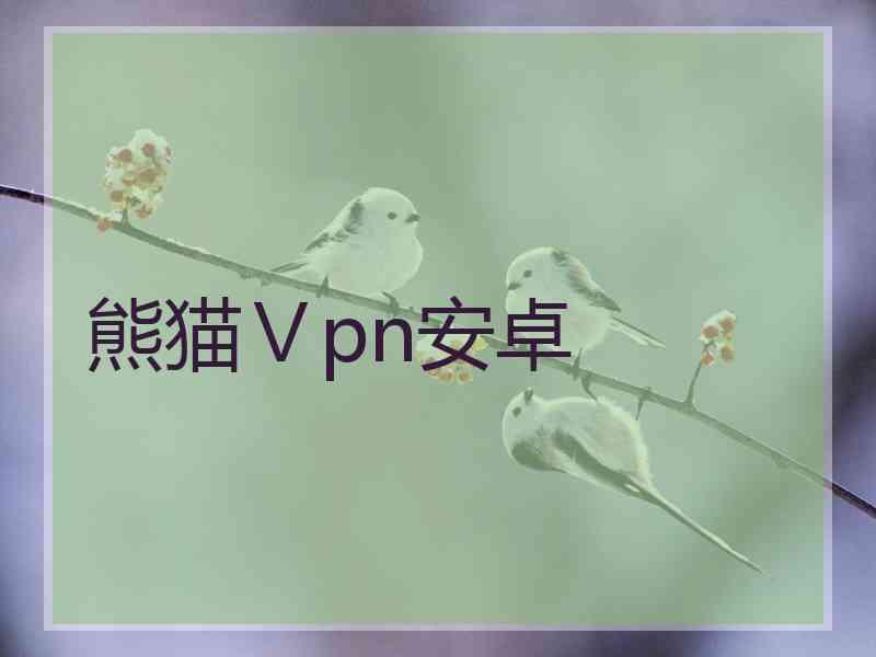熊猫Ⅴpn安卓