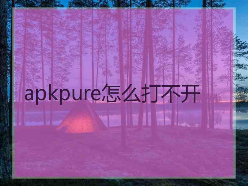 apkpure怎么打不开