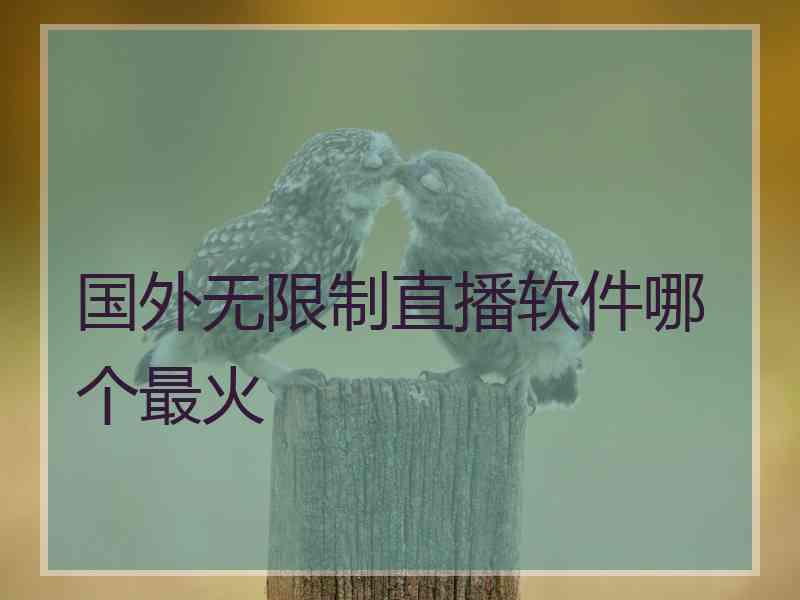 国外无限制直播软件哪个最火