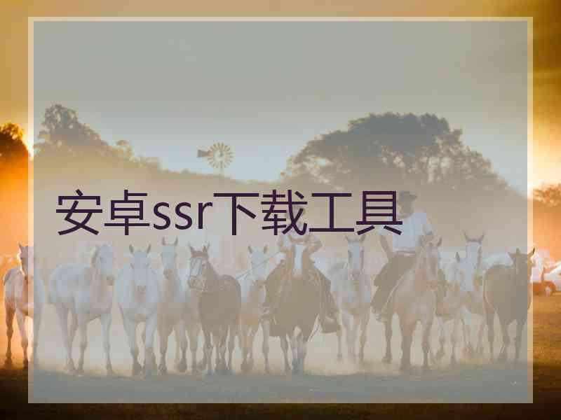 安卓ssr下载工具