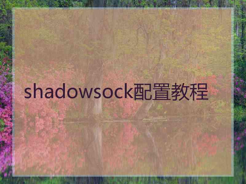 shadowsock配置教程