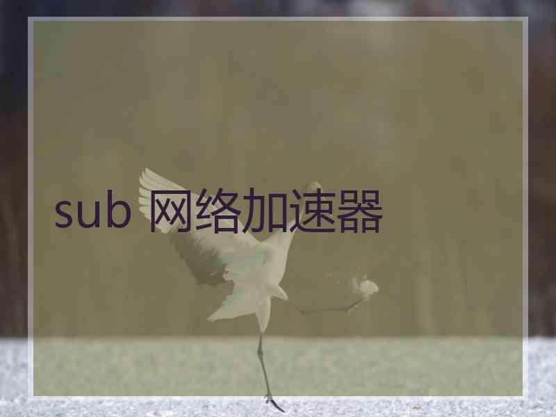 sub 网络加速器